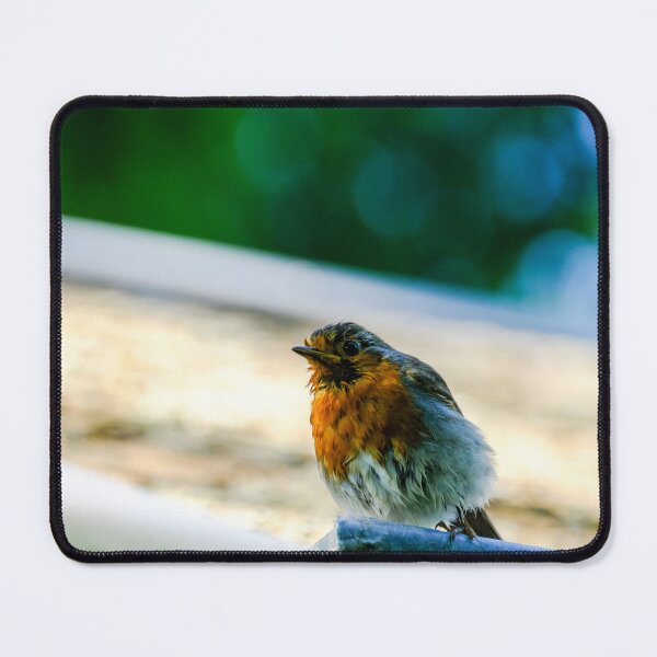 Item preview, Wet little robin on the roof designed and sold by Photopat.