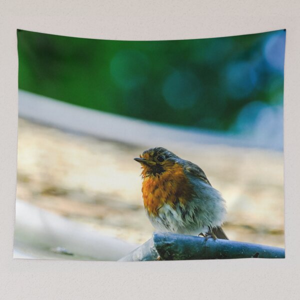 Item preview, Wet little robin on the roof designed and sold by Photopat.