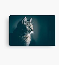 Cat Canvas Print