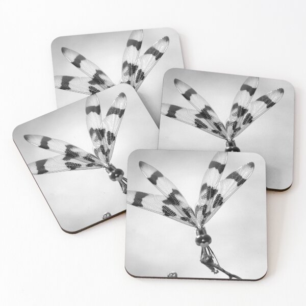 Item preview, Halloween Pennant Dragon Fly B&W designed and sold by MercerImages.