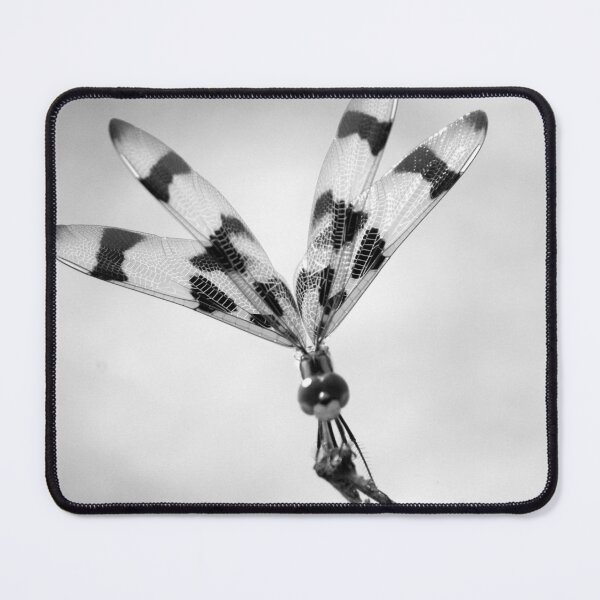 Item preview, Halloween Pennant Dragon Fly B&W designed and sold by MercerImages.