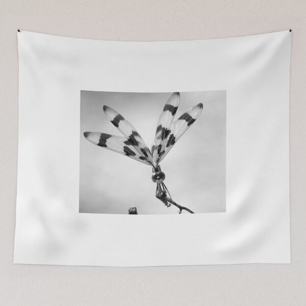 Item preview, Halloween Pennant Dragon Fly B&W designed and sold by MercerImages.