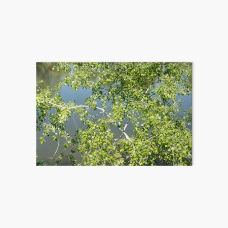 Item preview, Summery Aspen Treetop over Calm River designed and sold by Georgia Mizuleva.