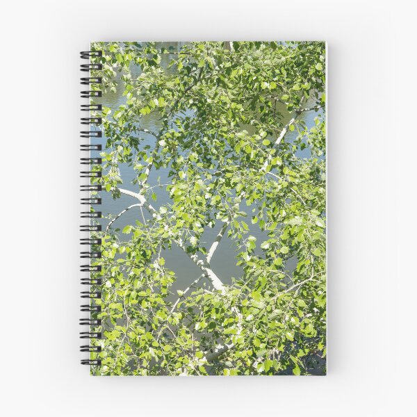Item preview, Summery Aspen Treetop over Calm River designed and sold by Georgia Mizuleva.