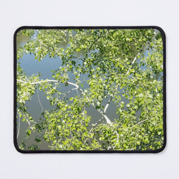Item preview, Summery Aspen Treetop over Calm River designed and sold by Georgia Mizuleva.