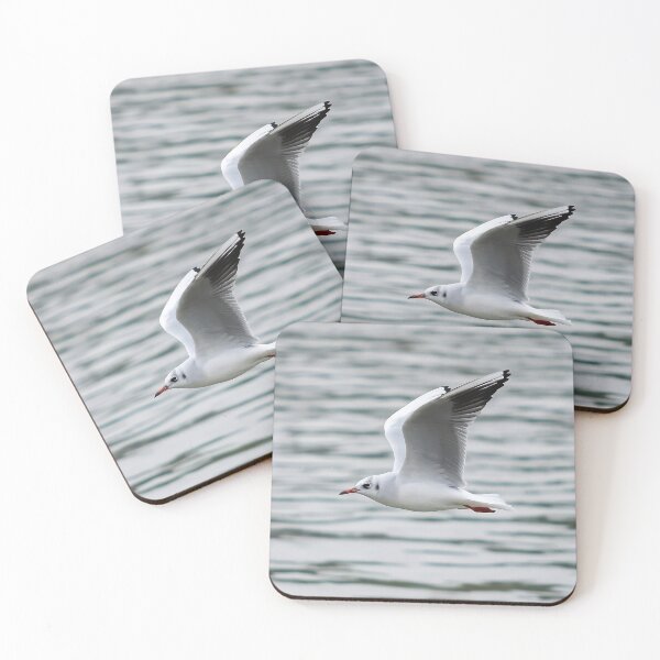 Item preview, Black-headed Gull Flying – Graceful Bird in Flight Photo designed and sold by DavorNS.