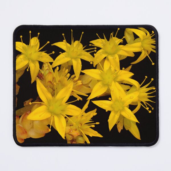 Item preview, Yellow Sedum Acre Macro Cluster Bloom designed and sold by Goiko7Margarita.