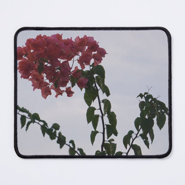 Item preview, the Sky music designed and sold by wegotfreeaco.
