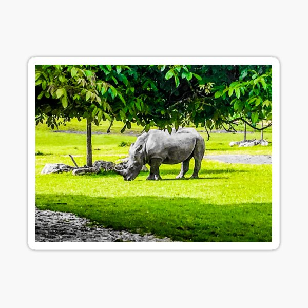 Rhino in Shade Sticker