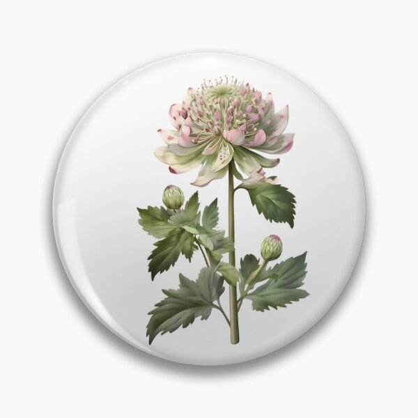 Item preview, Astrantia designed and sold by HOMETOWN86.