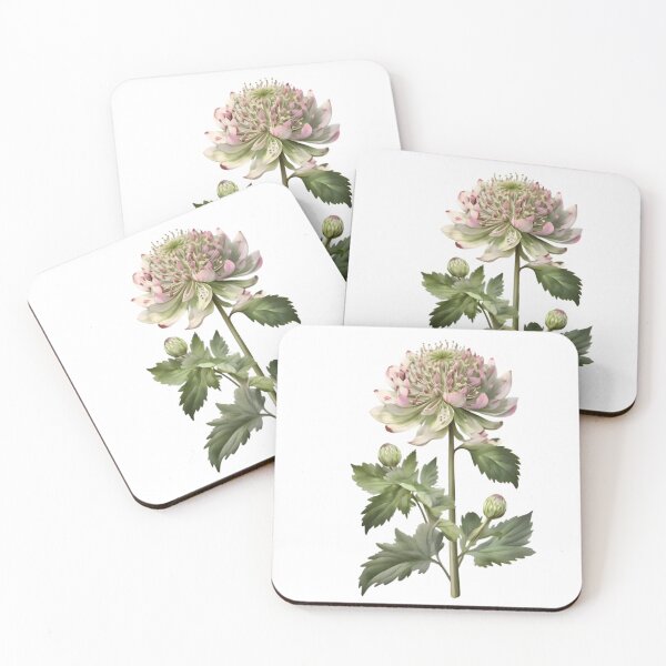 Item preview, Astrantia designed and sold by HOMETOWN86.