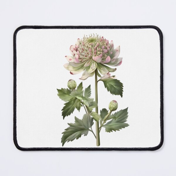 Item preview, Astrantia designed and sold by HOMETOWN86.