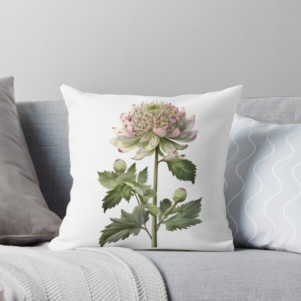 Item preview, Astrantia designed and sold by HOMETOWN86.