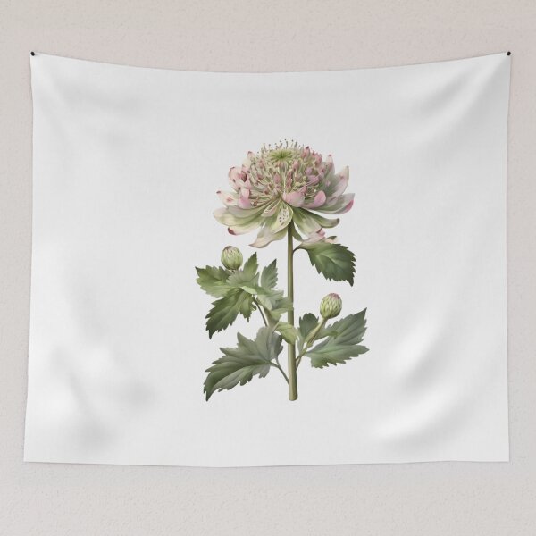Item preview, Astrantia designed and sold by HOMETOWN86.