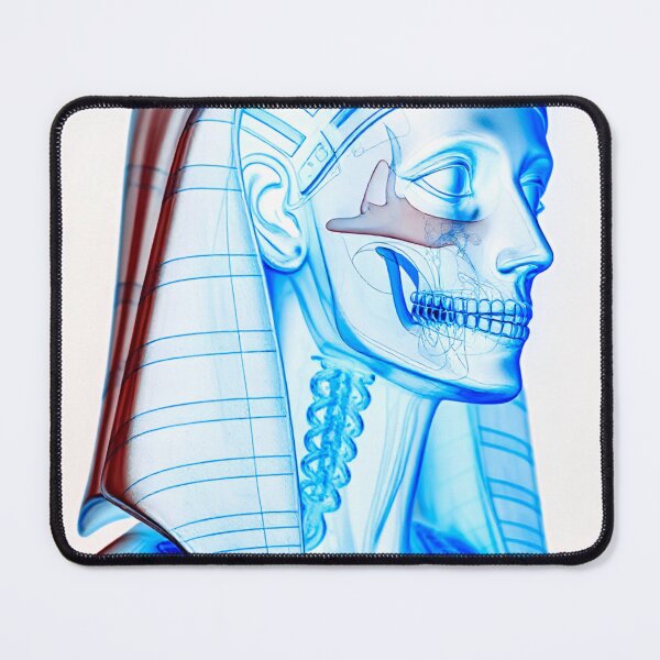 Item preview, X-Ray Sketch Egyptian Statue designed and sold by MatrixTattoo.