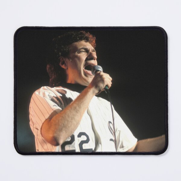 Item preview, Dennis DeYoung - Photograph designed and sold by ConcertImages.