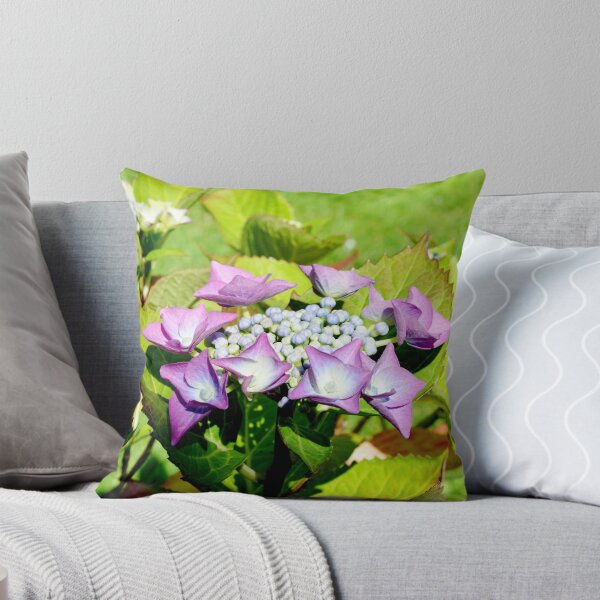 Item preview, Hydrangea Macrophylla designed and sold by Frank  Irwin.