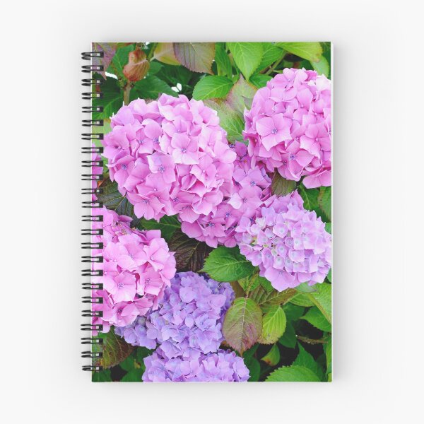 Item preview, Hydrangea designed and sold by Frank Irwin.