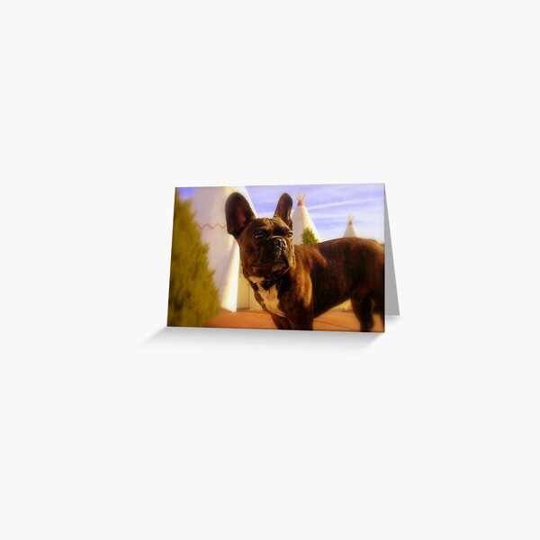 Wigwam Greeting Card