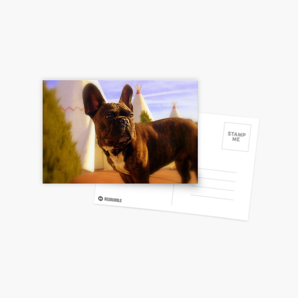 Item preview, Postcard designed and sold by jdempsey.