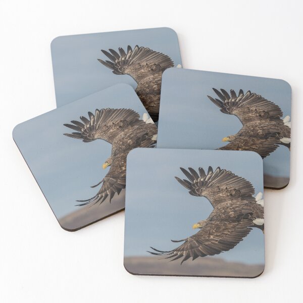 Item preview, Seeadler mit weißem Schwanz designed and sold by Ospreychild.