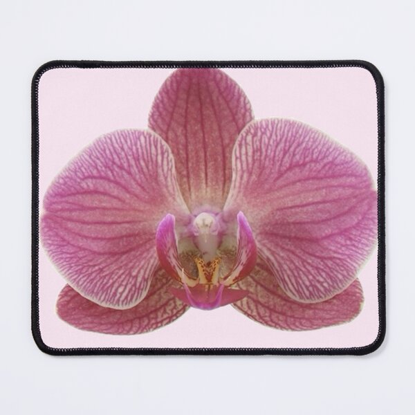 Item preview, pink orchid flower sticker designed and sold by inainart.