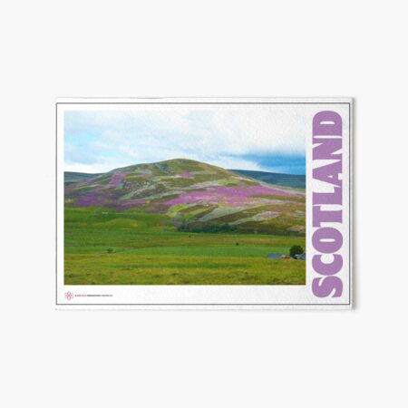 Item preview, The beautiful Heather clad hills of Scotland, by Robert Hills designed and sold by Robert Hills.