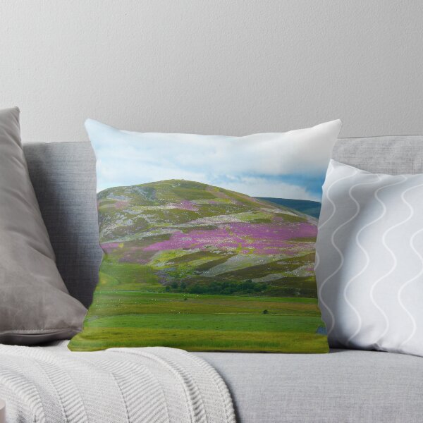 Item preview, The beautiful Heather clad hills of Scotland, by Robert Hills designed and sold by Robert Hills.