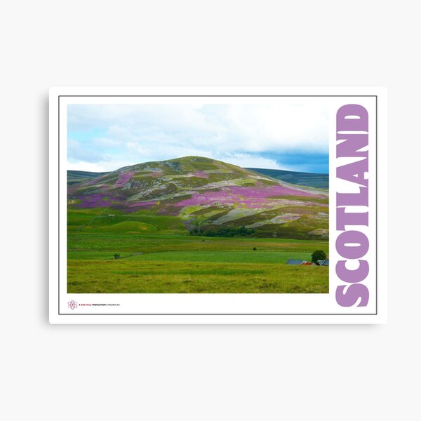Item preview, The beautiful Heather clad hills of Scotland, by Robert Hills designed and sold by Robert Hills.