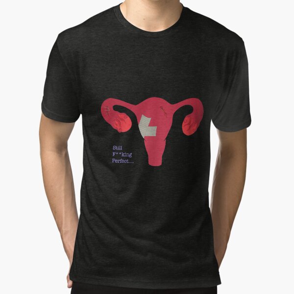 Tri-blend T-Shirt