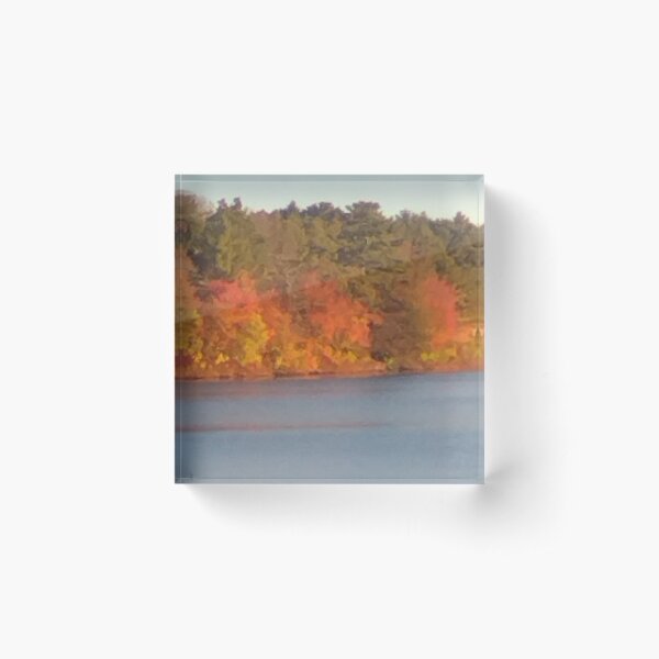 Item preview, Autumn in the Park designed and sold by D.S.Johnson art.