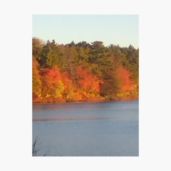 Item preview, Autumn in the Park designed and sold by D.S.Johnson art.