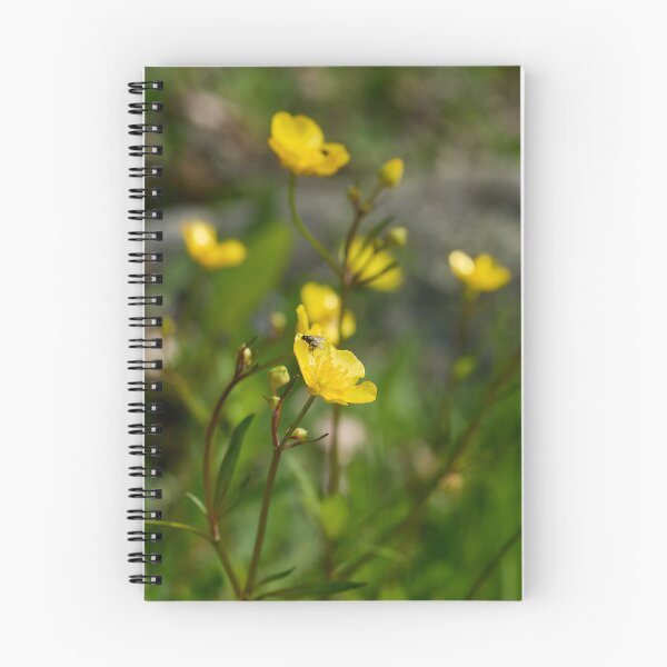 Item preview, The low one. Creeping Buttercup designed and sold by Jouko Lehto Photography.