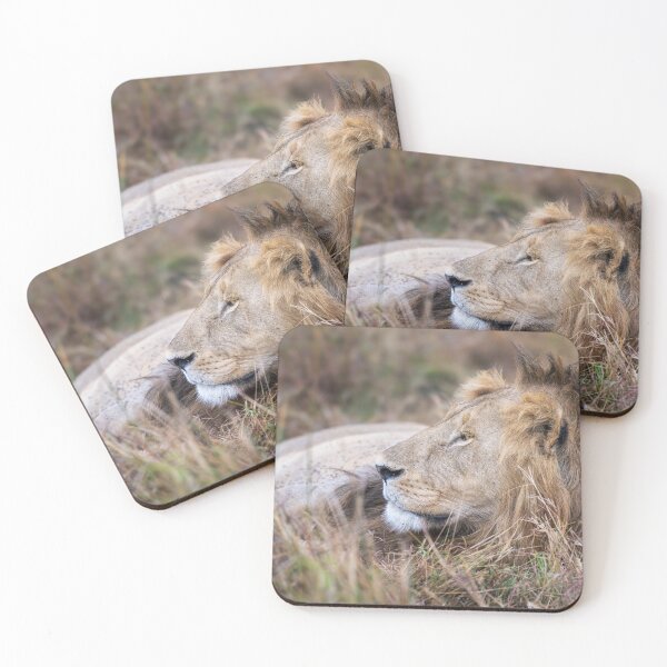 Item preview, Resting Male Lion Masai Mara Kenya designed and sold by PhotoArt by Joan Carroll.
