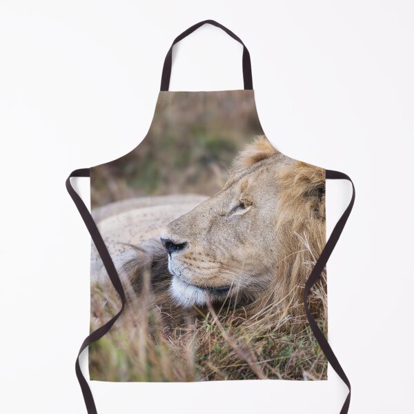 Item preview, Resting Male Lion Masai Mara Kenya designed and sold by PhotoArt by Joan Carroll.
