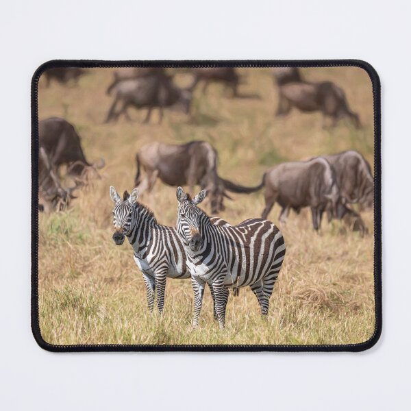Item preview, Two Zebras Amid Wildebeest Masai Mara Kenya designed and sold by PhotoArt by Joan Carroll.