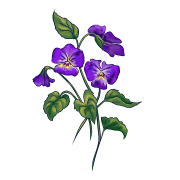 Artwork thumbnail, Violet by Reeseworks