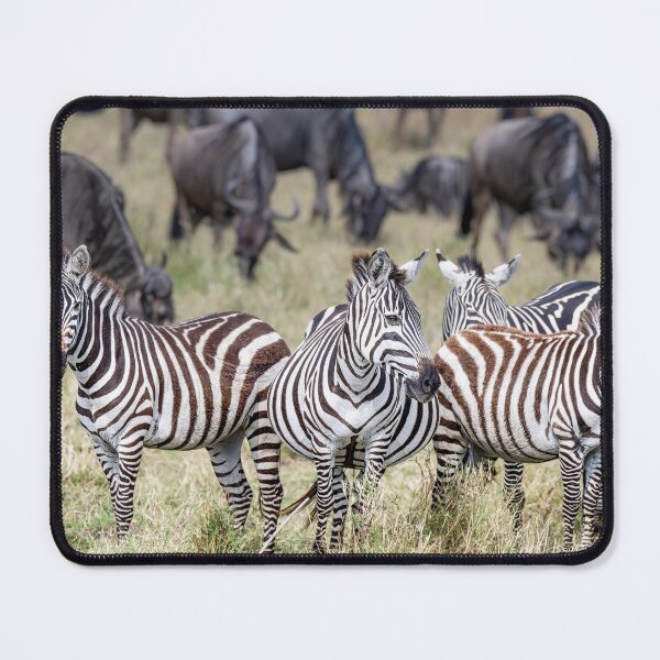 Item preview, Zebras and Wildebeest Masai Mara Kenya designed and sold by PhotoArt by Joan Carroll.