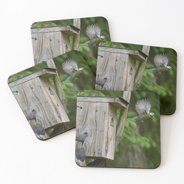 Item preview, Busy time. Eurasian blue tit designed and sold by Jouko Lehto Photography.