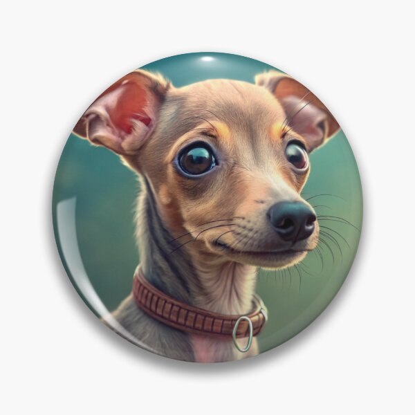 Item preview, Funny adorable portrait headshot of cute doggy. Italian Greyhound dog breed puppy, standing facing front designed and sold by elkuni.