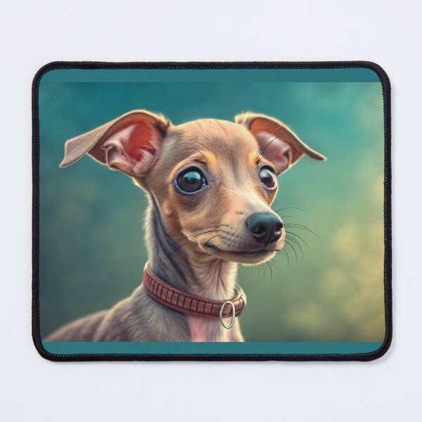 Item preview, Funny adorable portrait headshot of cute doggy. Italian Greyhound dog breed puppy, standing facing front designed and sold by elkuni.
