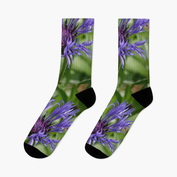 Item preview, From the mountains. Mountain bluet designed and sold by Jouko Lehto Photography.