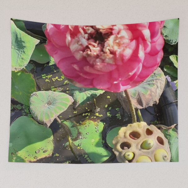 Item preview, Lotus flower and seed pods designed and sold by Billiard6163.