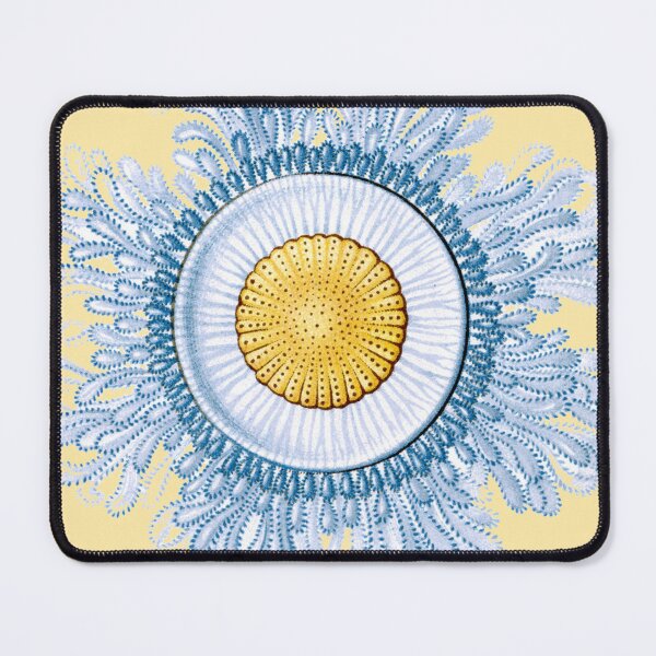 Item preview, Haeckel Vintage Science Art - Siphonophore designed and sold by FUNKARIUM.