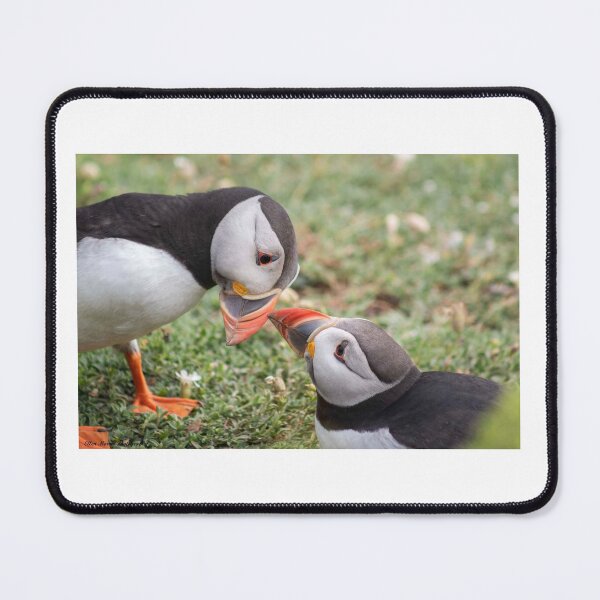 Item preview, Puffins in Love designed and sold by ellenmpics.