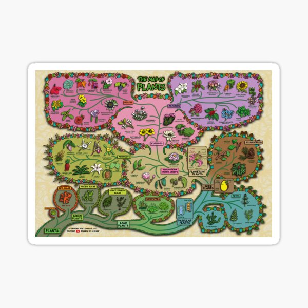 Item preview, La carte des plantes designed and sold by DominicWalliman.
