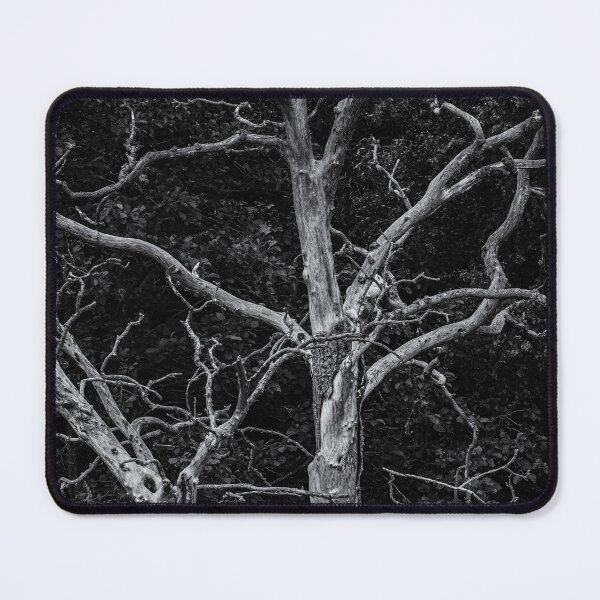 Item preview, Gnarled Old Tree designed and sold by Tom McPherson Photography.