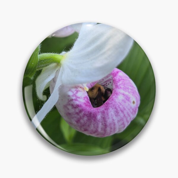 Item preview, Sleeping bumble bee in orchid designed and sold by VossenAquatics.