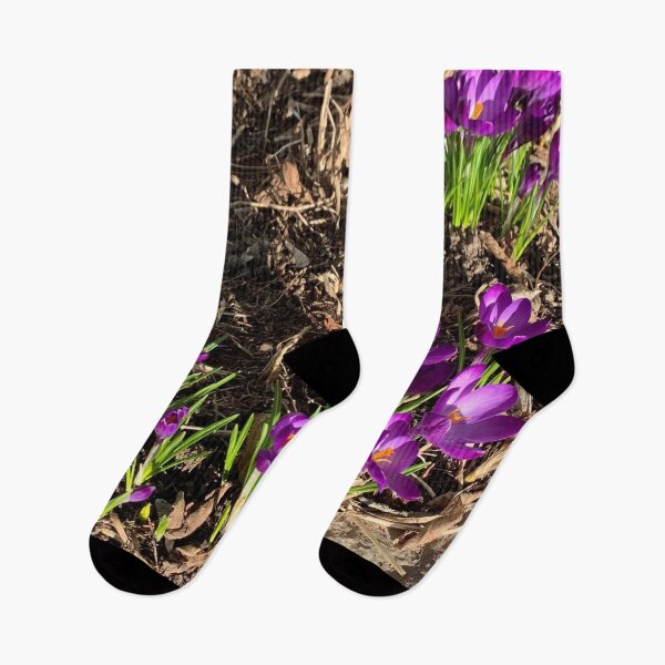 Item preview, Purple Crocus Blooms – Early Spring Flowers in Garden Soil designed and sold by larissa-myrie.