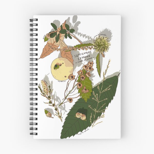 Item preview, Septiembre Serrano – Botanical Farm Finds from Sierra de Huelva designed and sold by Millefolia Design .